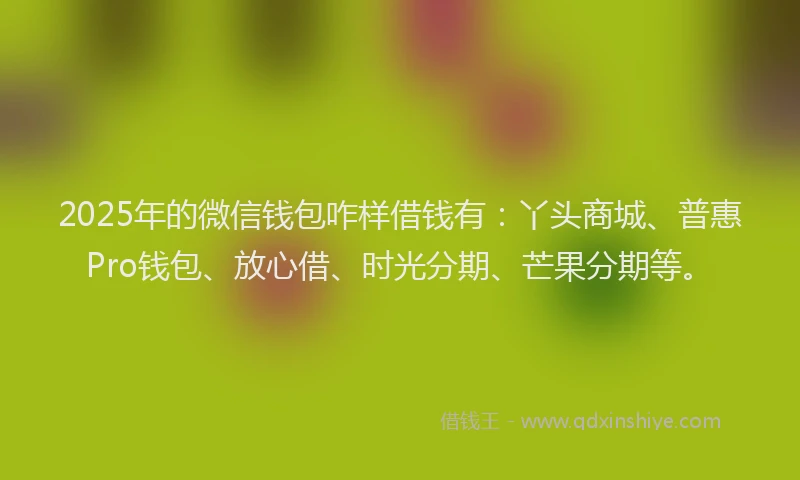 2025年的微信钱包咋样借钱有：丫头商城、普惠Pro钱包、放心借、时光分期、芒果分期等。