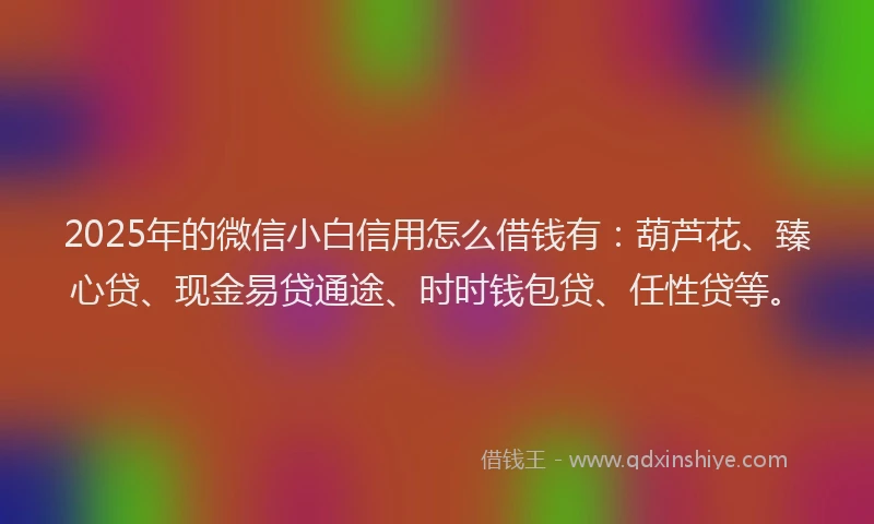 2025年的微信小白信用怎么借钱有：葫芦花、臻心贷、现金易贷通途、时时钱包贷、任性贷等。