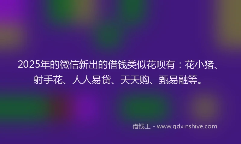 2025年的微信新出的借钱类似花呗有：花小猪、射手花、人人易贷、天天购、甄易融等。