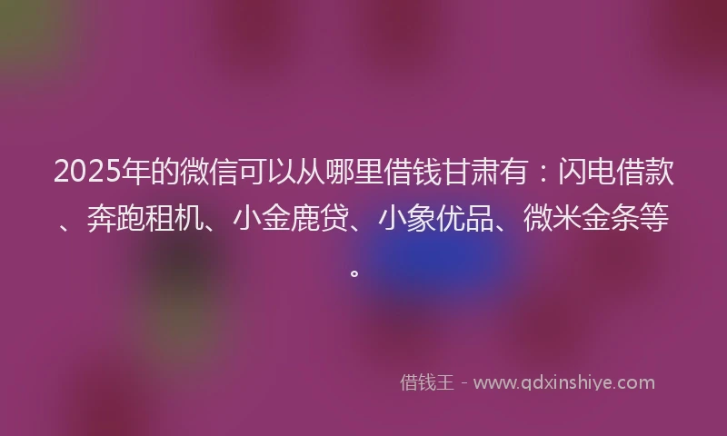 2025年的微信可以从哪里借钱甘肃有：闪电借款、奔跑租机、小金鹿贷、小象优品、微米金条等。