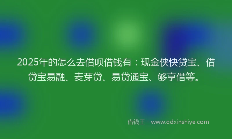2025年的怎么去借呗借钱有：现金侠快贷宝、借贷宝易融、麦芽贷、易贷通宝、够享借等。