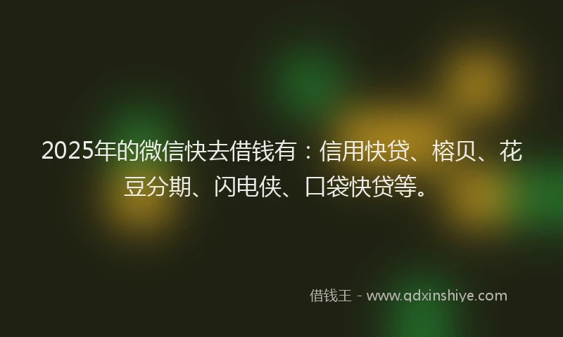 2025年的微信快去借钱有：信用快贷、榕贝、花豆分期、闪电侠、口袋快贷等。