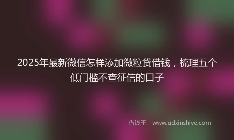 2025年最新微信怎样添加微粒贷借钱，梳理五个低门槛不查征信的口子
