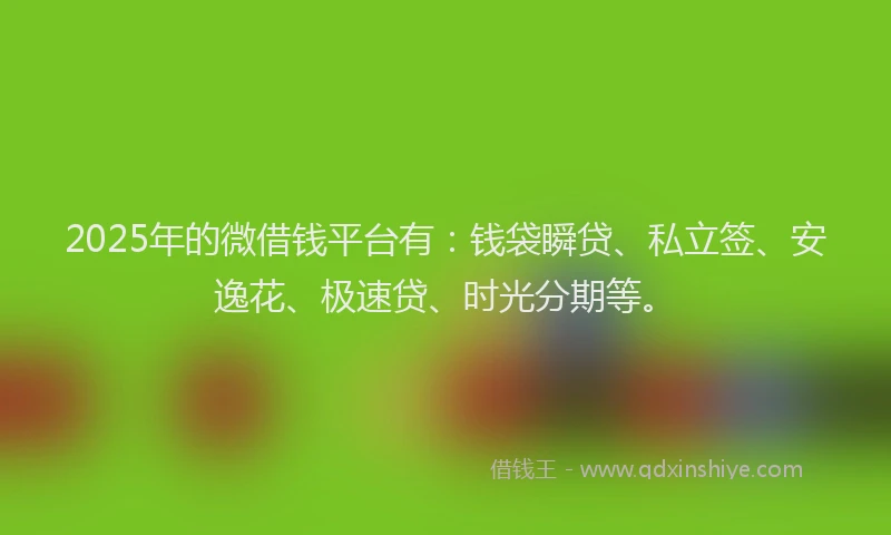 2025年的微借钱平台有：钱袋瞬贷、私立签、安逸花、极速贷、时光分期等。