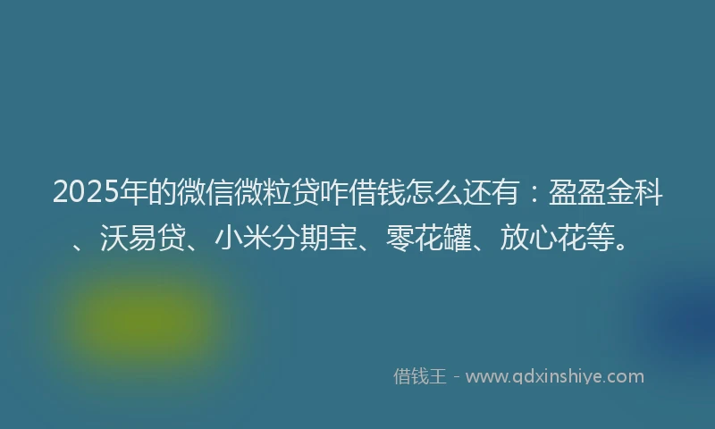 2025年的微信微粒贷咋借钱怎么还有：盈盈金科、沃易贷、小米分期宝、零花罐、放心花等。