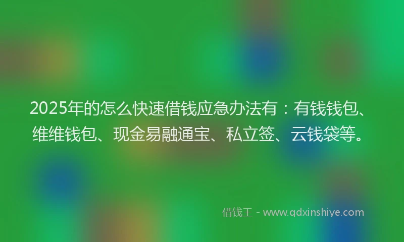 2025年的怎么快速借钱应急办法有：有钱钱包、维维钱包、现金易融通宝、私立签、云钱袋等。