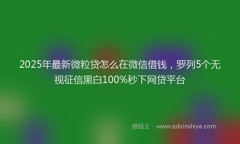 2025年最新微粒贷怎么在微信借钱，罗列5个无视征信黑白100%秒下网贷平台
