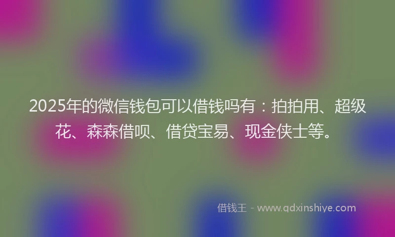 2025年的微信钱包可以借钱吗有：拍拍用、超级花、森森借呗、借贷宝易、现金侠士等。