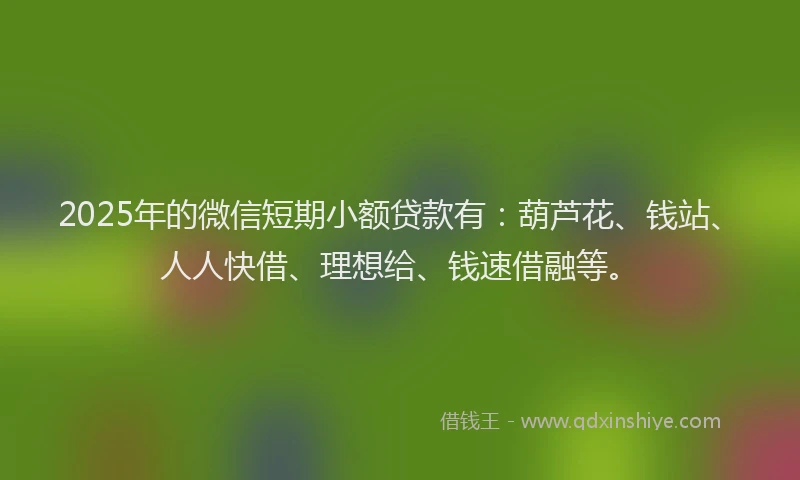 2025年的微信短期小额贷款有：葫芦花、钱站、人人快借、理想给、钱速借融等。