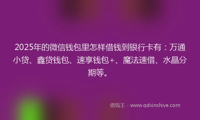 2025年的微信钱包里怎样借钱到银行卡有：万通小贷、鑫贷钱包、速享钱包+、魔法速借、水晶分期等。