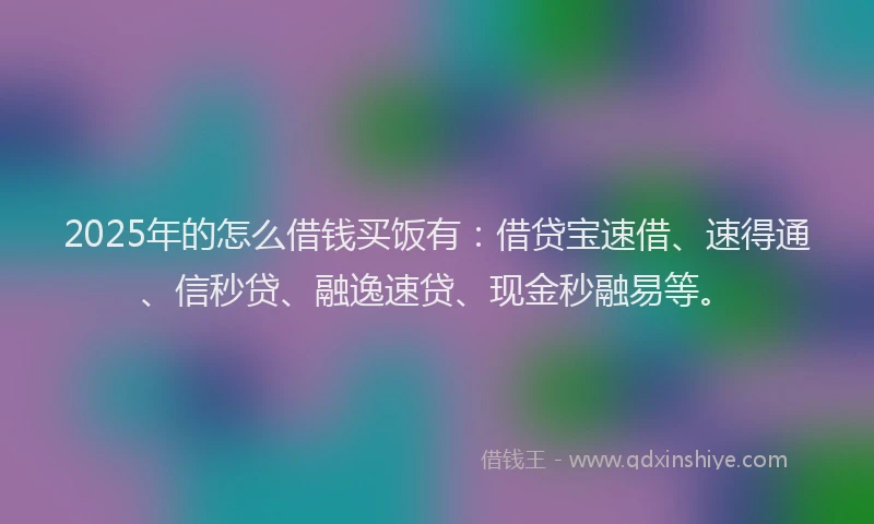 2025年的怎么借钱买饭有：借贷宝速借、速得通、信秒贷、融逸速贷、现金秒融易等。