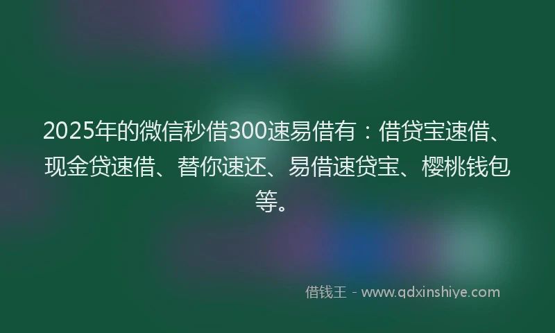 2025年的微信秒借300速易借有：借贷宝速借、现金贷速借、替你速还、易借速贷宝、樱桃钱包等。