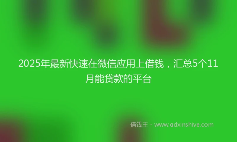 2025年最新快速在微信应用上借钱，汇总5个11月能贷款的平台