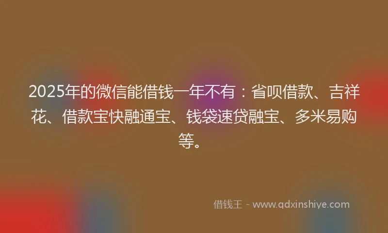 2025年的微信能借钱一年不有：省呗借款、吉祥花、借款宝快融通宝、钱袋速贷融宝、多米易购等。
