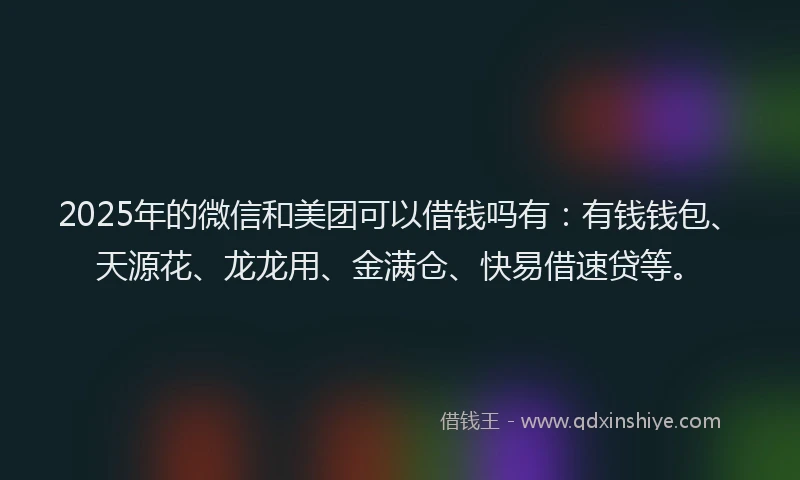 2025年的微信和美团可以借钱吗有：有钱钱包、天源花、龙龙用、金满仓、快易借速贷等。