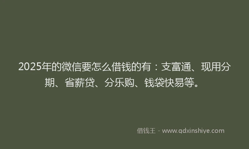 2025年的微信要怎么借钱的有：支富通、现用分期、省薪贷、分乐购、钱袋快易等。