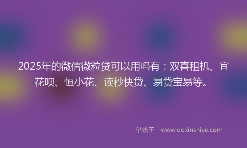 2025年的微信微粒贷可以用吗有：双喜租机、宜花呗、恒小花、读秒快贷、易贷宝易等。