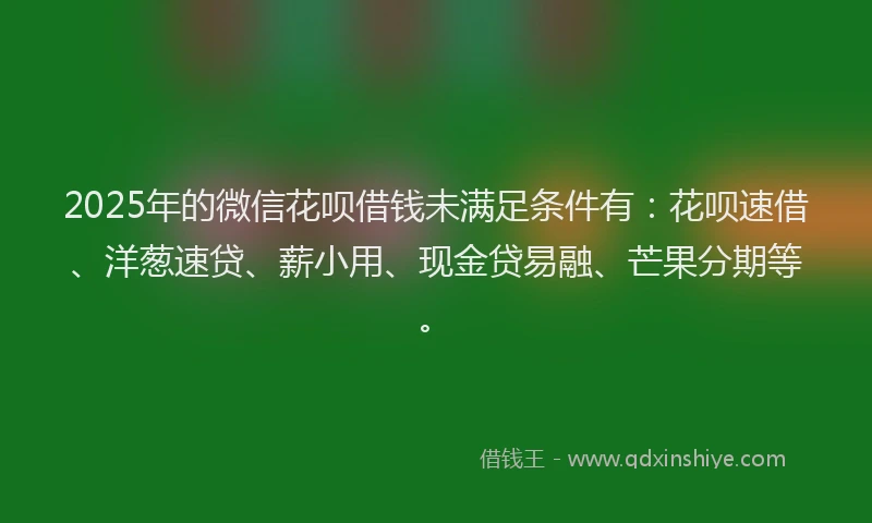 2025年的微信花呗借钱未满足条件有：花呗速借、洋葱速贷、薪小用、现金贷易融、芒果分期等。