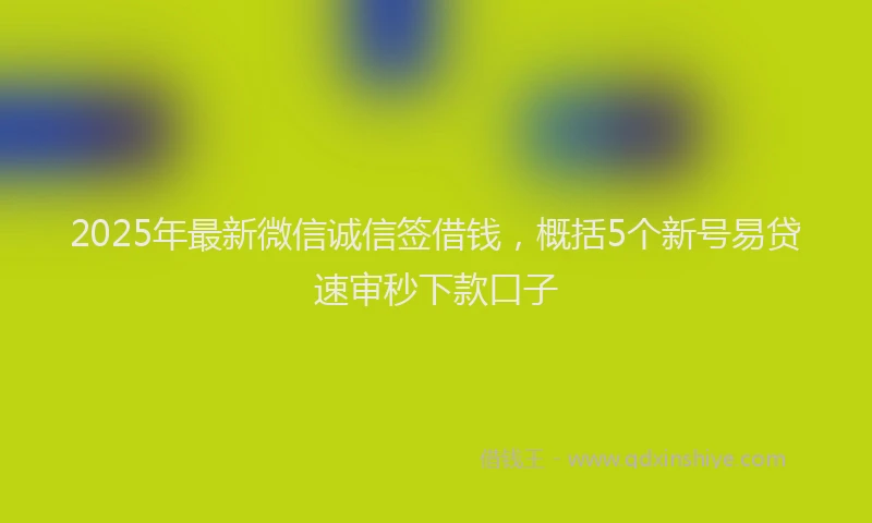 2025年最新微信诚信签借钱，概括5个新号易贷速审秒下款口子