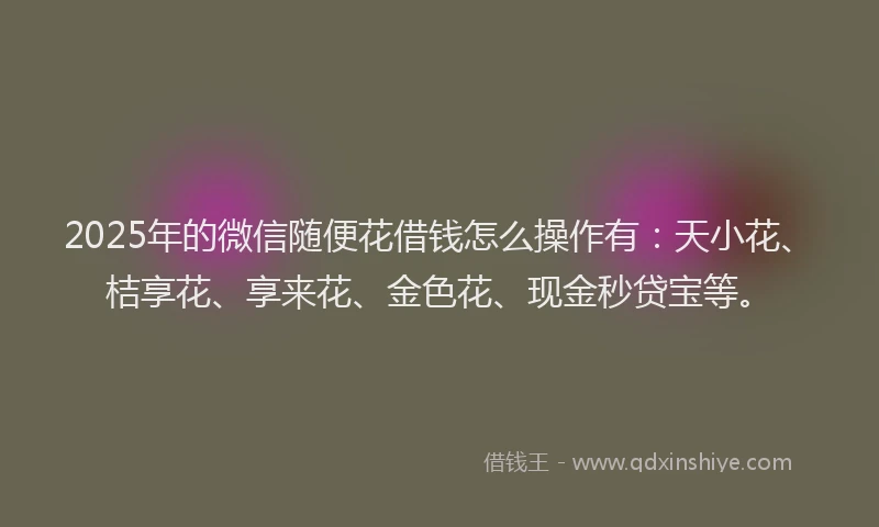 2025年的微信随便花借钱怎么操作有：天小花、桔享花、享来花、金色花、现金秒贷宝等。
