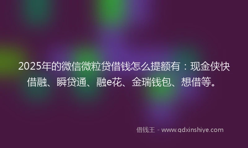 2025年的微信微粒贷借钱怎么提额有：现金侠快借融、瞬贷通、融e花、金瑞钱包、想借等。