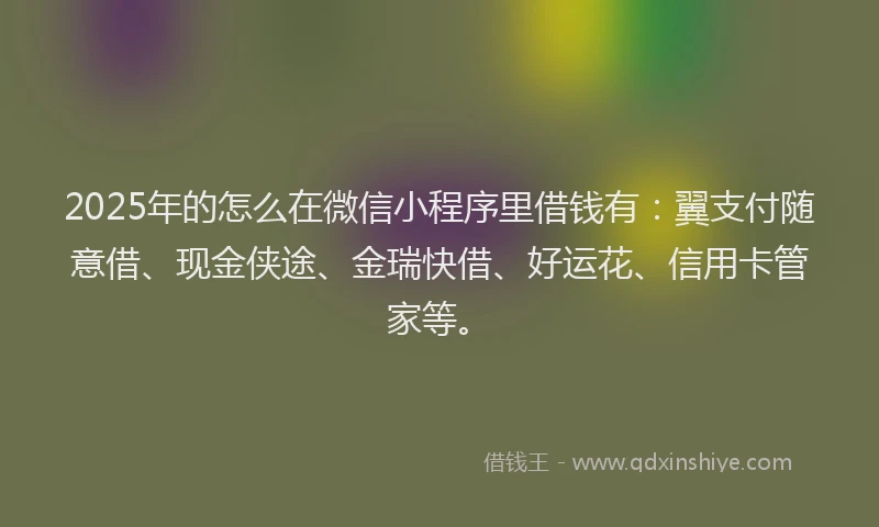 2025年的怎么在微信小程序里借钱有：翼支付随意借、现金侠途、金瑞快借、好运花、信用卡管家等。