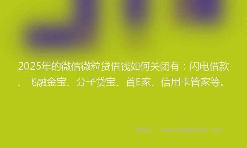 2025年的微信微粒贷借钱如何关闭有：闪电借款、飞融金宝、分子贷宝、首E家、信用卡管家等。