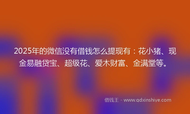 2025年的微信没有借钱怎么提现有：花小猪、现金易融贷宝、超级花、爱木财富、金满堂等。