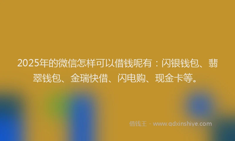 2025年的微信怎样可以借钱呢有：闪银钱包、翡翠钱包、金瑞快借、闪电购、现金卡等。