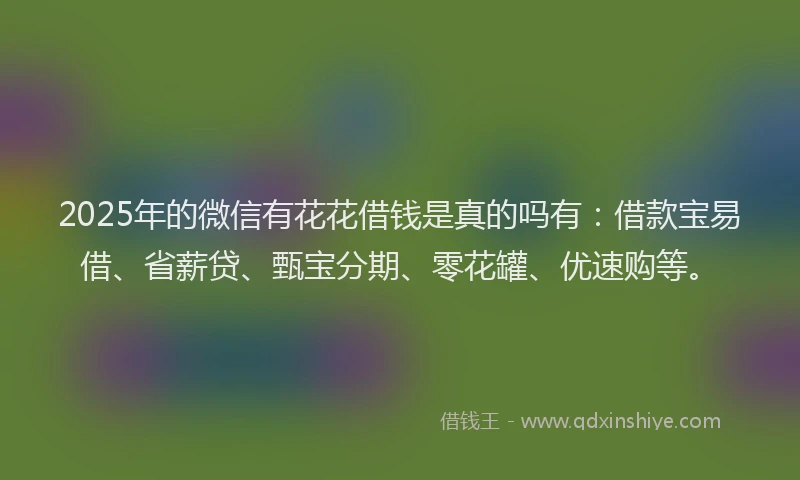 2025年的微信有花花借钱是真的吗有：借款宝易借、省薪贷、甄宝分期、零花罐、优速购等。
