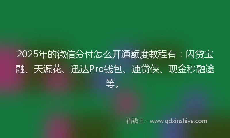 2025年的微信分付怎么开通额度教程有：闪贷宝融、天源花、迅达Pro钱包、速贷侠、现金秒融途等。
