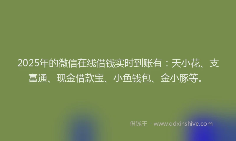 2025年的微信在线借钱实时到账有：天小花、支富通、现金借款宝、小鱼钱包、金小豚等。