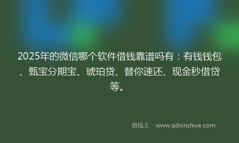 2025年的微信哪个软件借钱靠谱吗有：有钱钱包、甄宝分期宝、琥珀贷、替你速还、现金秒借贷等。