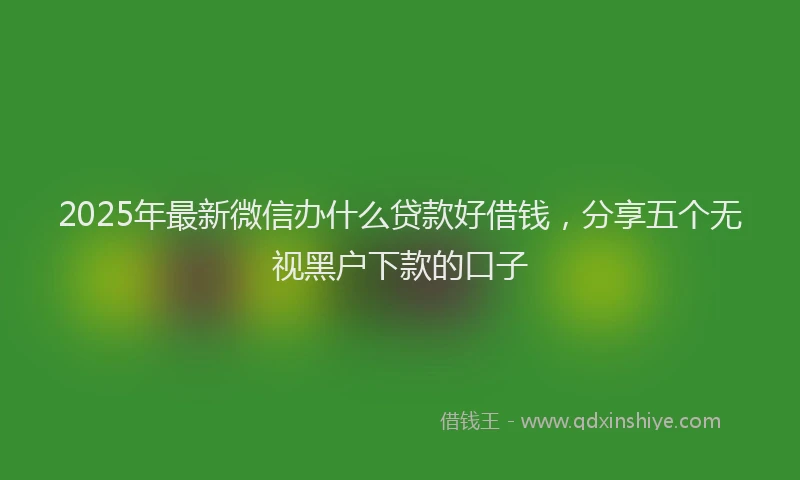 2025年最新微信办什么贷款好借钱，分享五个无视黑户下款的口子