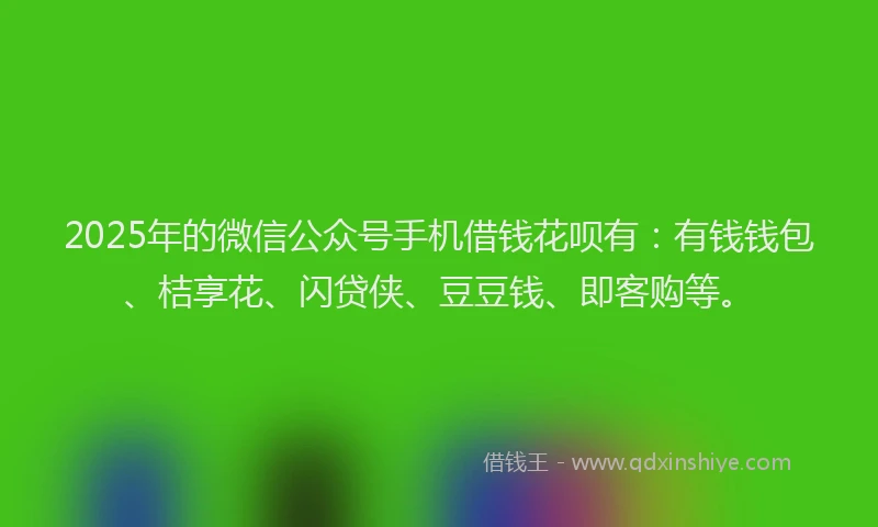 2025年的微信公众号手机借钱花呗有：有钱钱包、桔享花、闪贷侠、豆豆钱、即客购等。