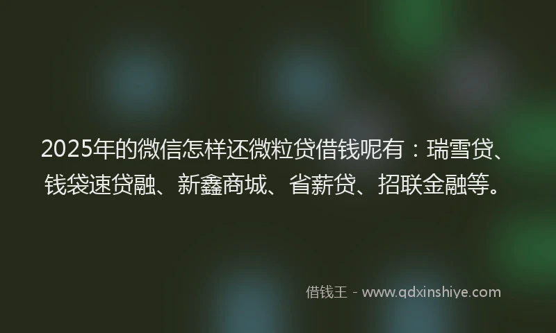 2025年的微信怎样还微粒贷借钱呢有：瑞雪贷、钱袋速贷融、新鑫商城、省薪贷、招联金融等。