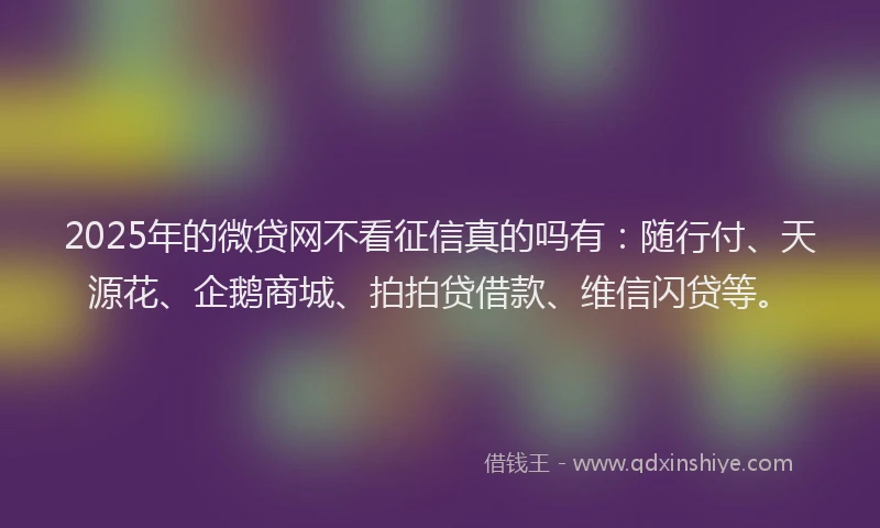 2025年的微贷网不看征信真的吗有：随行付、天源花、企鹅商城、拍拍贷借款、维信闪贷等。