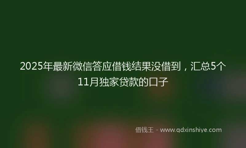 2025年最新微信答应借钱结果没借到，汇总5个11月独家贷款的口子