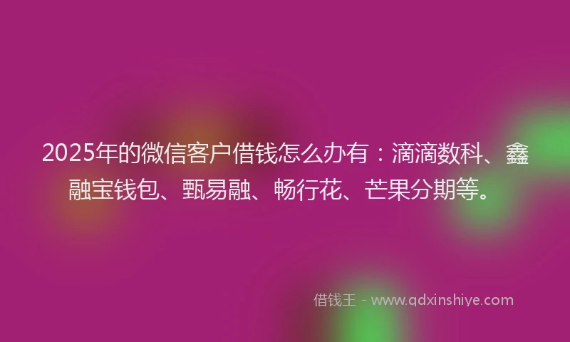 2025年的微信客户借钱怎么办有：滴滴数科、鑫融宝钱包、甄易融、畅行花、芒果分期等。