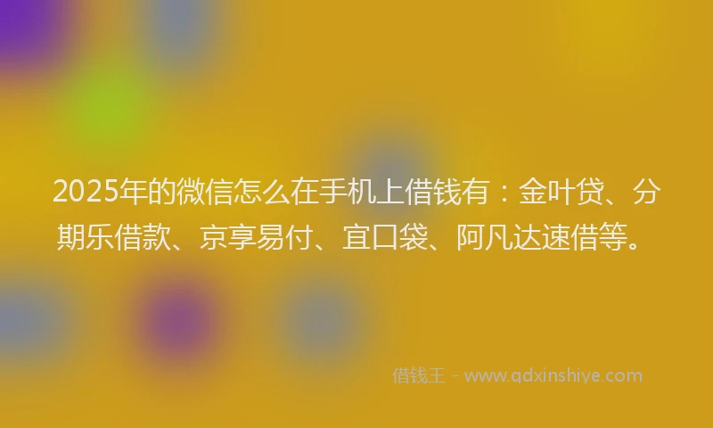 2025年的微信怎么在手机上借钱有：金叶贷、分期乐借款、京享易付、宜口袋、阿凡达速借等。