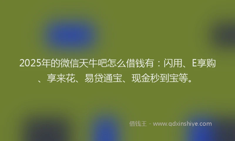 2025年的微信天牛吧怎么借钱有：闪用、E享购、享来花、易贷通宝、现金秒到宝等。