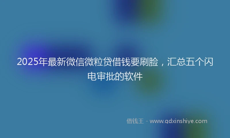 2025年最新微信微粒贷借钱要刷脸，汇总五个闪电审批的软件