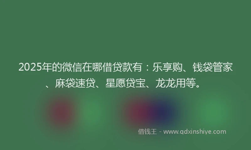 2025年的微信在哪借贷款有：乐享购、钱袋管家、麻袋速贷、星愿贷宝、龙龙用等。