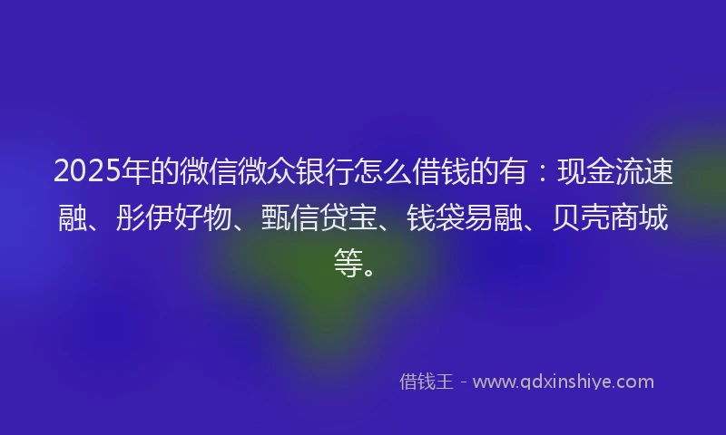2025年的微信微众银行怎么借钱的有：现金流速融、彤伊好物、甄信贷宝、钱袋易融、贝壳商城等。