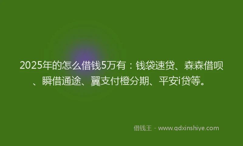 2025年的怎么借钱5万有：钱袋速贷、森森借呗、瞬借通途、翼支付橙分期、平安i贷等。