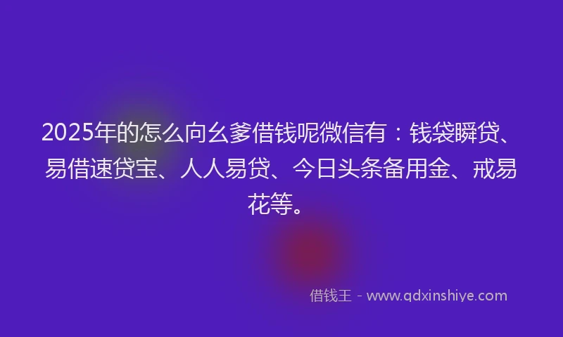 2025年的怎么向幺爹借钱呢微信有：钱袋瞬贷、易借速贷宝、人人易贷、今日头条备用金、戒易花等。
