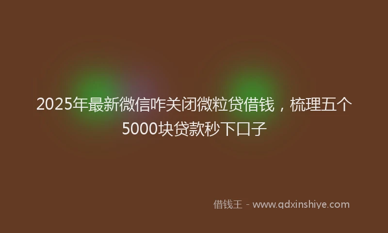 2025年最新微信咋关闭微粒贷借钱，梳理五个5000块贷款秒下口子