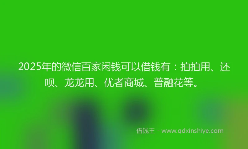 2025年的微信百家闲钱可以借钱有：拍拍用、还呗、龙龙用、优者商城、普融花等。