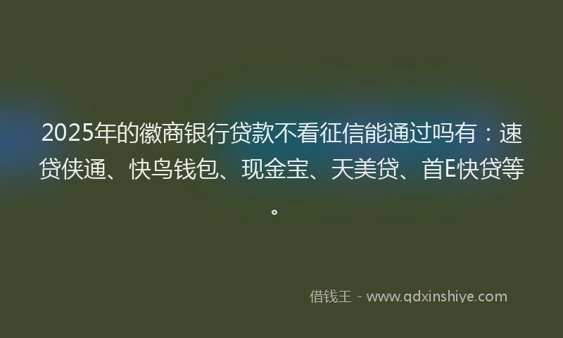 2025年的徽商银行贷款不看征信能通过吗有：速贷侠通、快鸟钱包、现金宝、天美贷、首E快贷等。