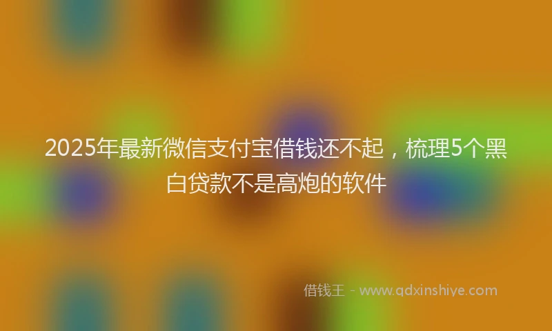 2025年最新微信支付宝借钱还不起，梳理5个黑白贷款不是高炮的软件